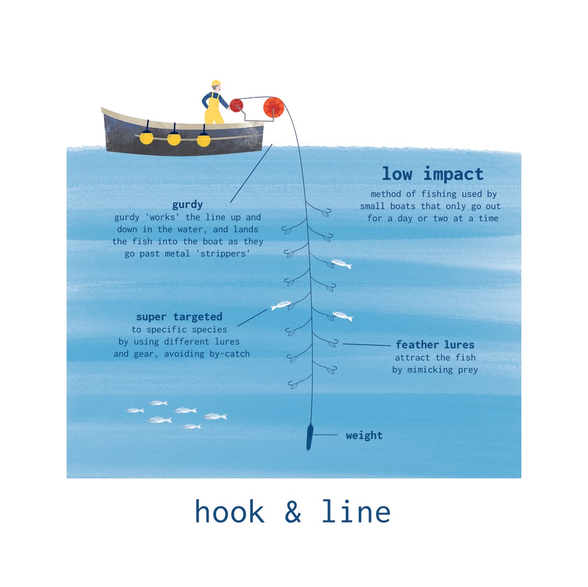 Fishing techniques explained Fish for Thought